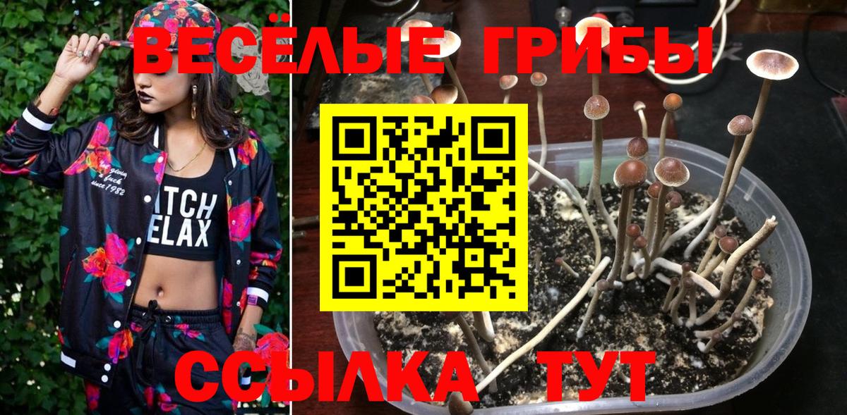 Псилоцибиновые грибы Magic Shrooms Владимир