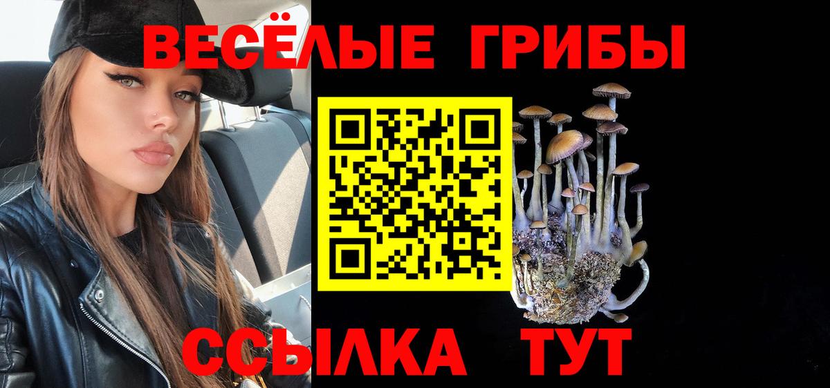 Владимир  Галлюциногенные грибы Psilocybe  Вход с VPN  Галлюциногенные грибы MAGIC MUSHROOMS 